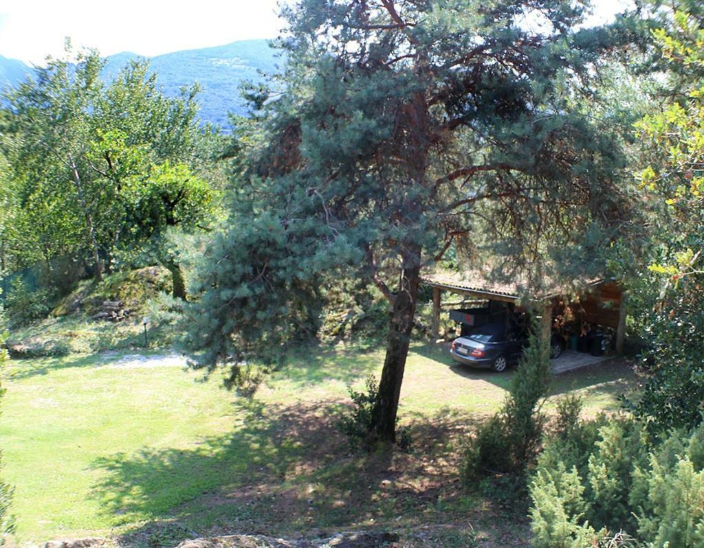 Villa Erica Con Piscina Privata Sul Lago Di Como Colico Exterior photo